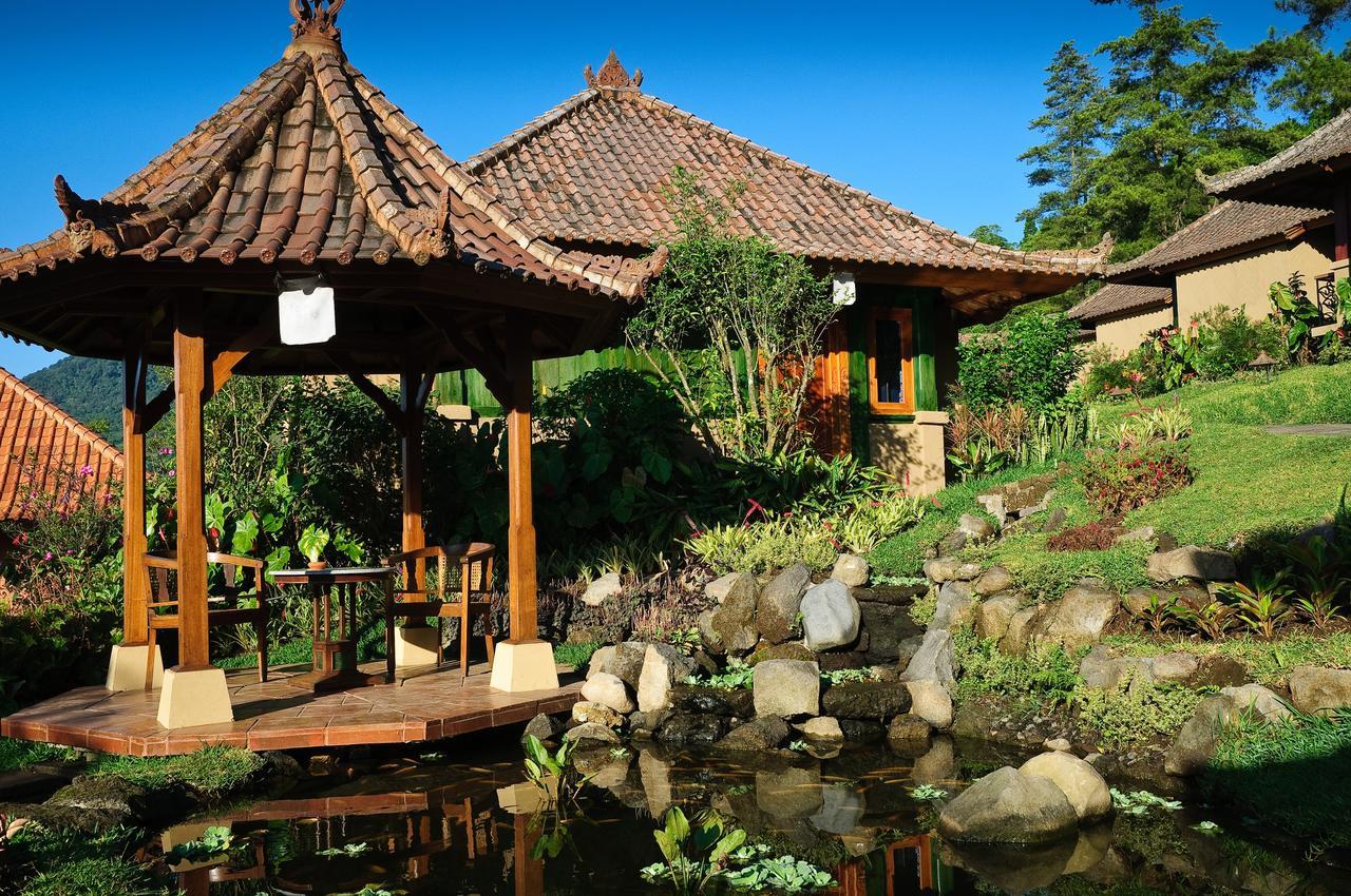 בדוגול Strawberry Hill Hotel & Restaurant מראה חיצוני תמונה